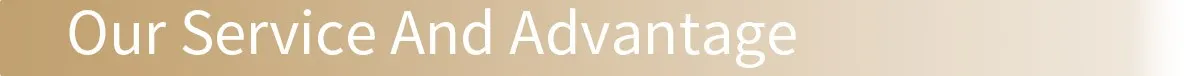SeparatorTitleOur Service And Advantage